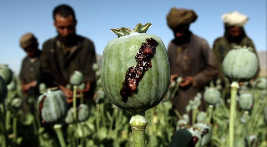 Опиум для террора