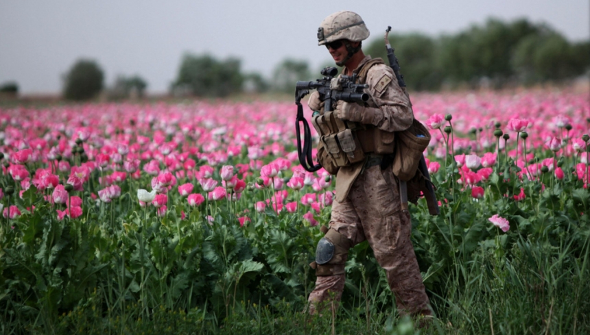 Опиум для террора