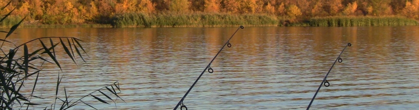 Рыбалка по высокой воде на нижней Волге
