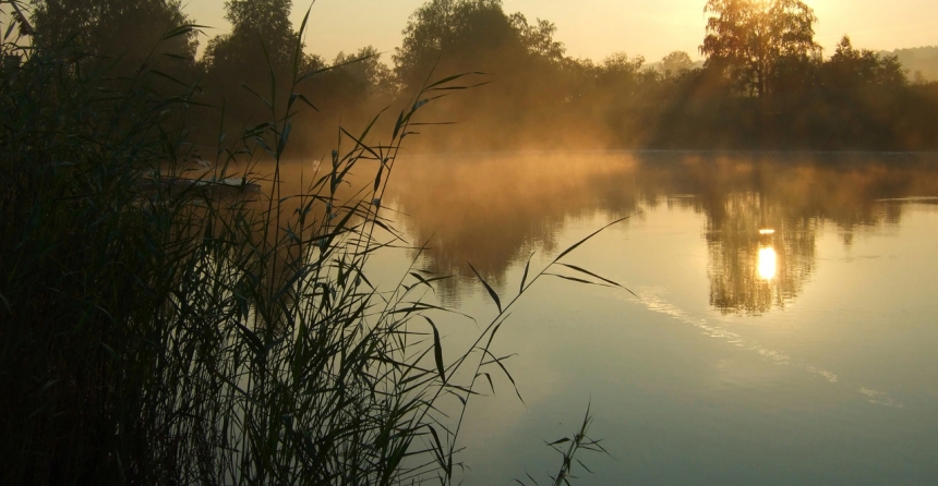Рыбалка в Подмосковье