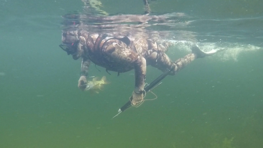 Видео подводной охоты Путина на щуку в Туве / Video spearfishing for pike Putin in Tuva