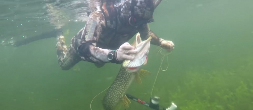 Видео подводной охоты Путина на щуку в Туве / Video spearfishing for pike Putin in Tuva