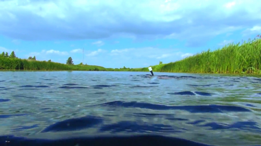 Подводная охота. Двухдневная поездка по приглашению подводных охотников