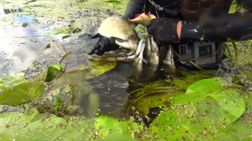 Подводная охота. Двухдневная поездка по приглашению подводных охотников