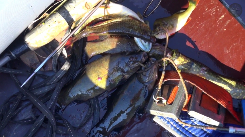 Подводная охота. Двухдневная поездка по приглашению подводных охотников