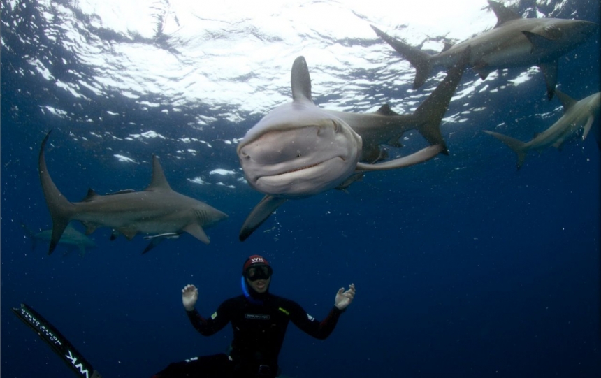 Подводная охота с Pierre Frolla (Пьер Фролла)