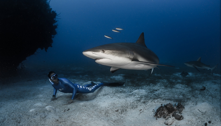 Подводная охота с Pierre Frolla (Пьер Фролла)