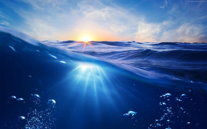 Что угрожает водам мирового океана?  (Кислотный океан)