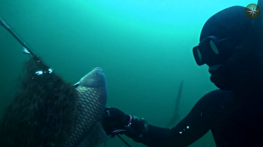 Шкиль Игорь: КОМПАС №36 (Подводная охота)