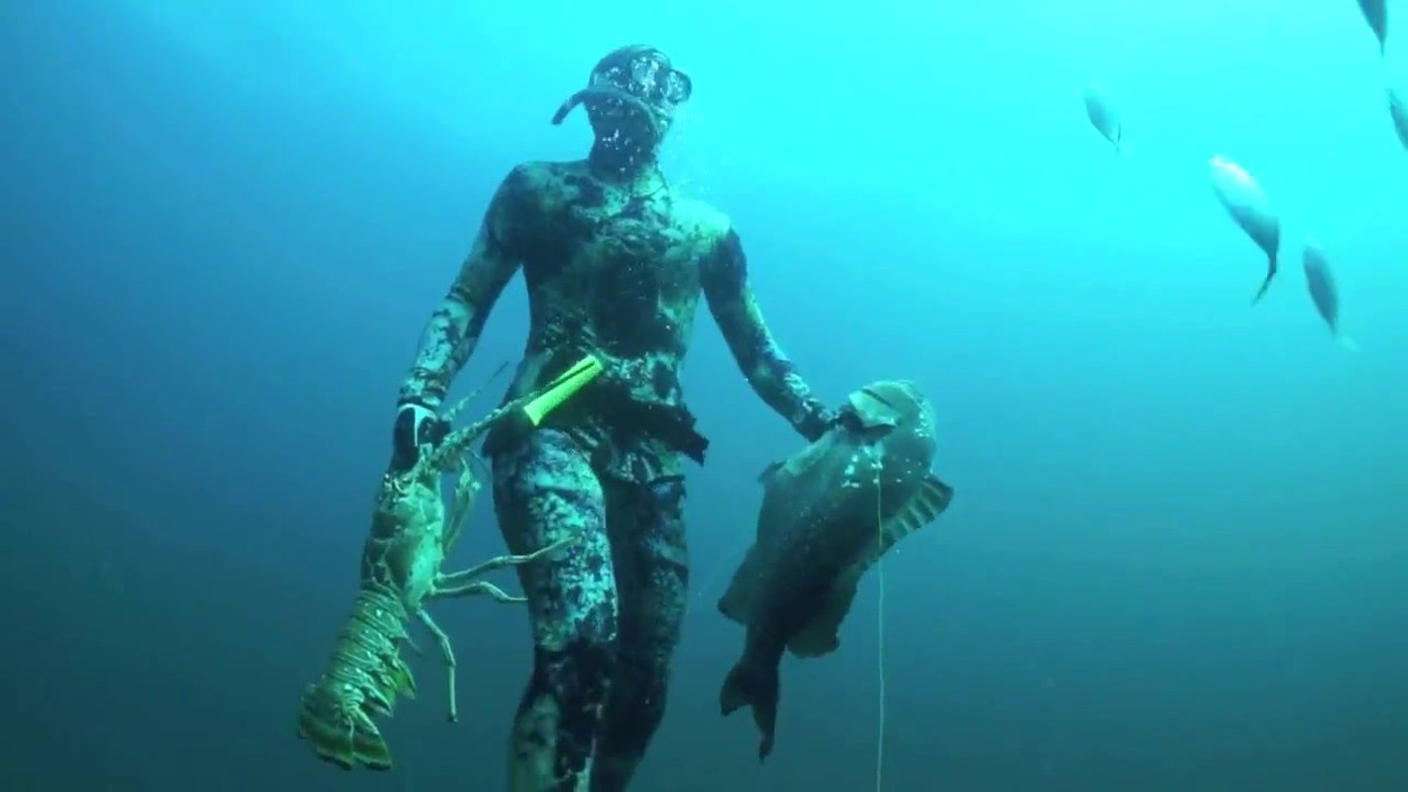 Подводная охота Палм-Бич, Флорида США