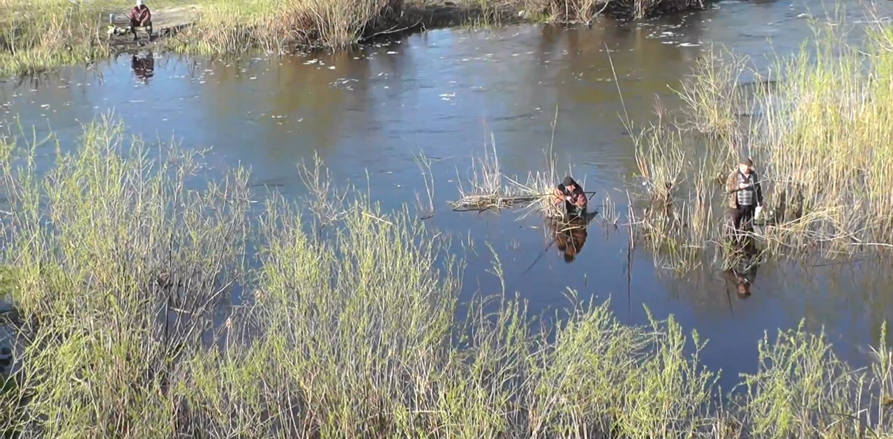 Секретное место: Рыбалка и удача (вот что происходило летом)