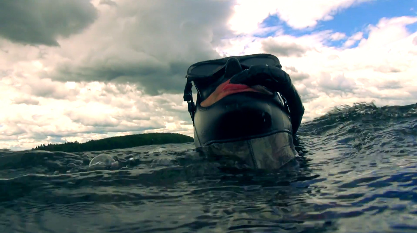 Подводные съёмки, природы, аэросъёмка.