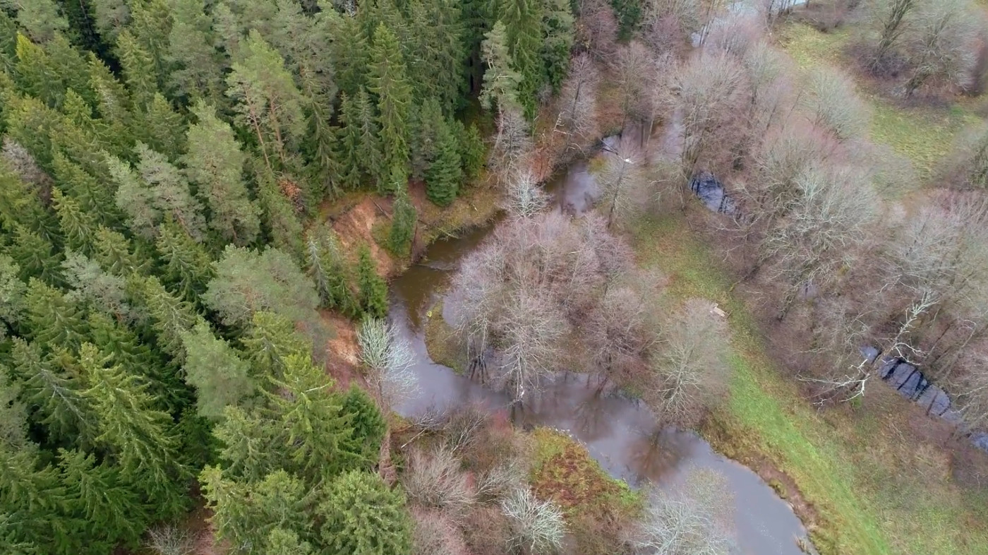 Подводные съёмки, природы, аэросъёмка.