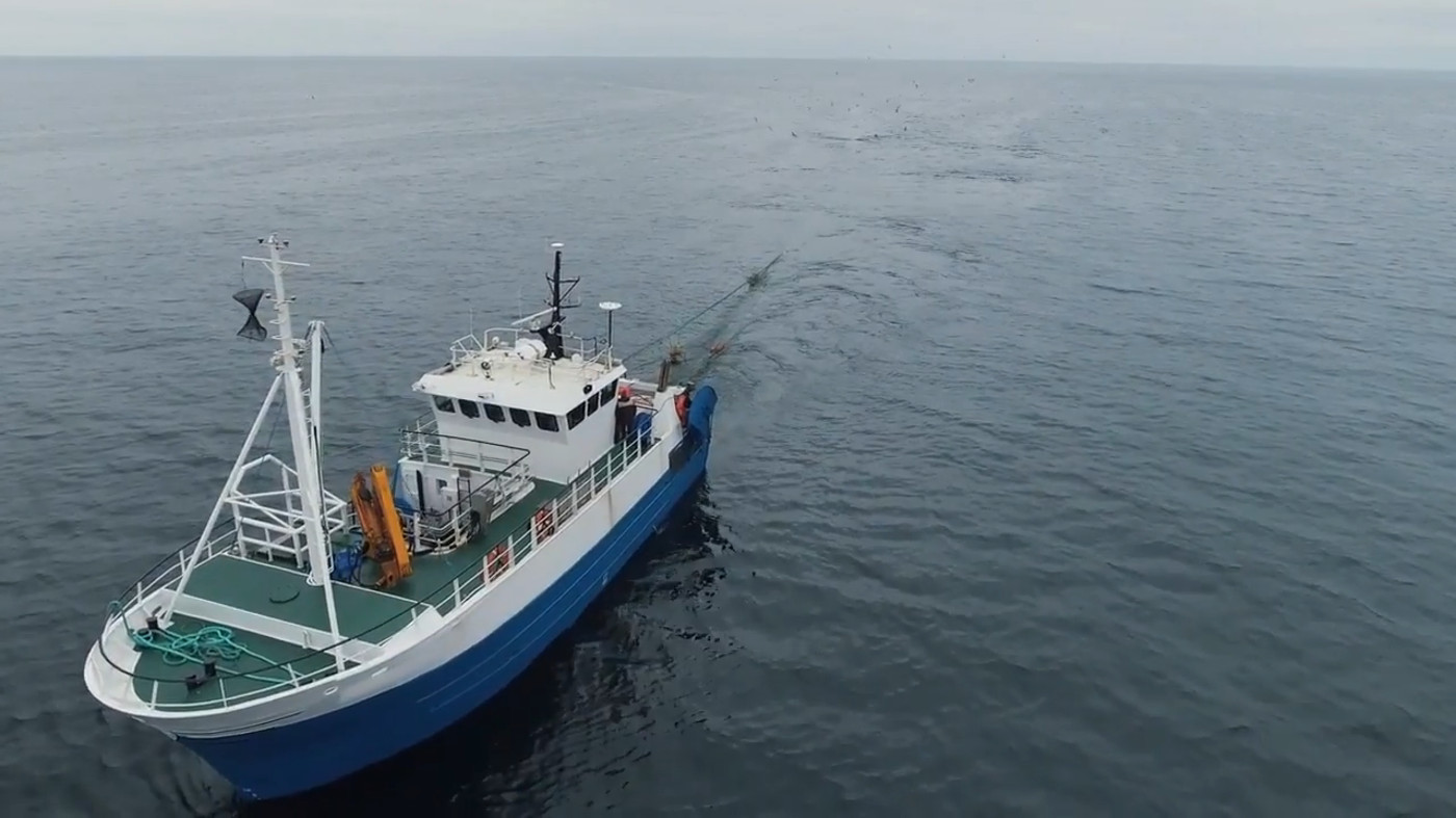 «Электронный промысловый журнал» (ГИС ЭПЖ)