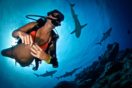 10 способов сохранить вашу жизнь под водой