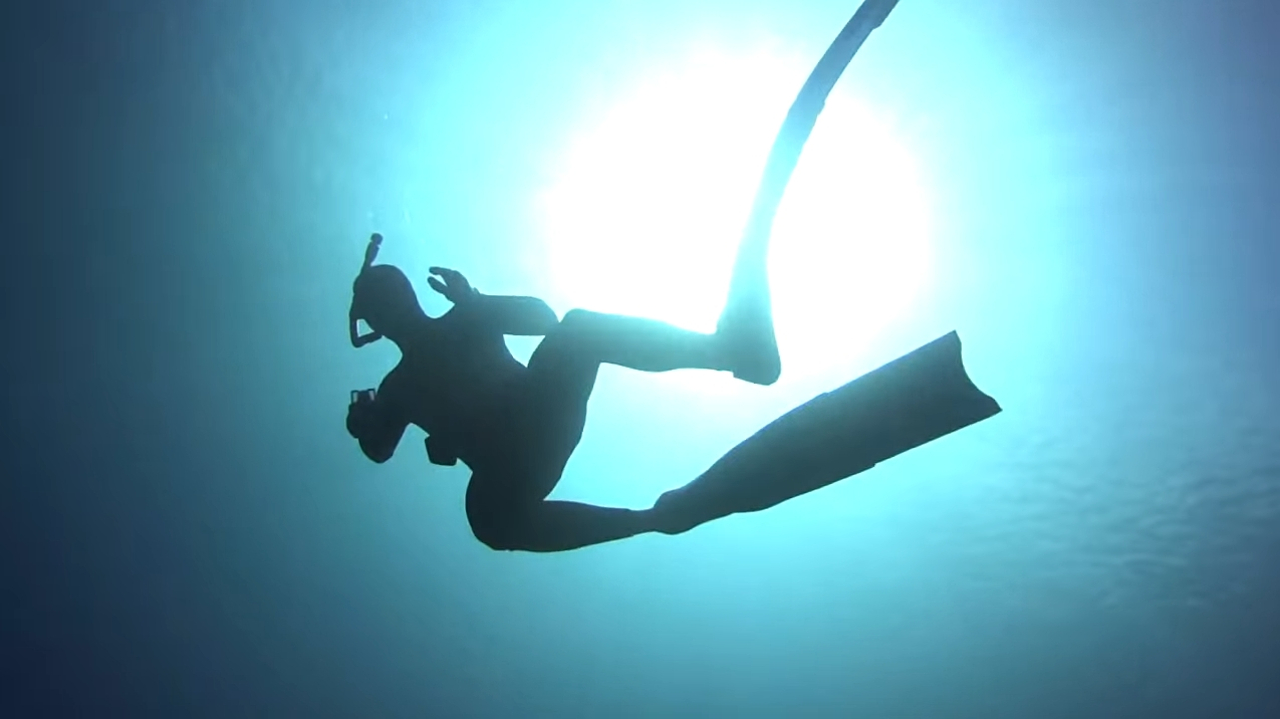 Подводная охота и отдых в Египте