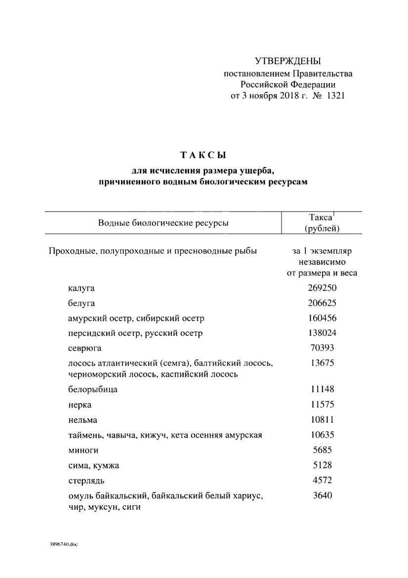 ШТРАФЫ И НАКАЗАНИЯ ЗА НЕЗАКОННУЮ РЫБАЛКУ В 2019 ГОДУ