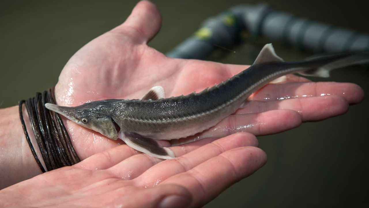 Штраф 700 тысяч рублей за рыбалку