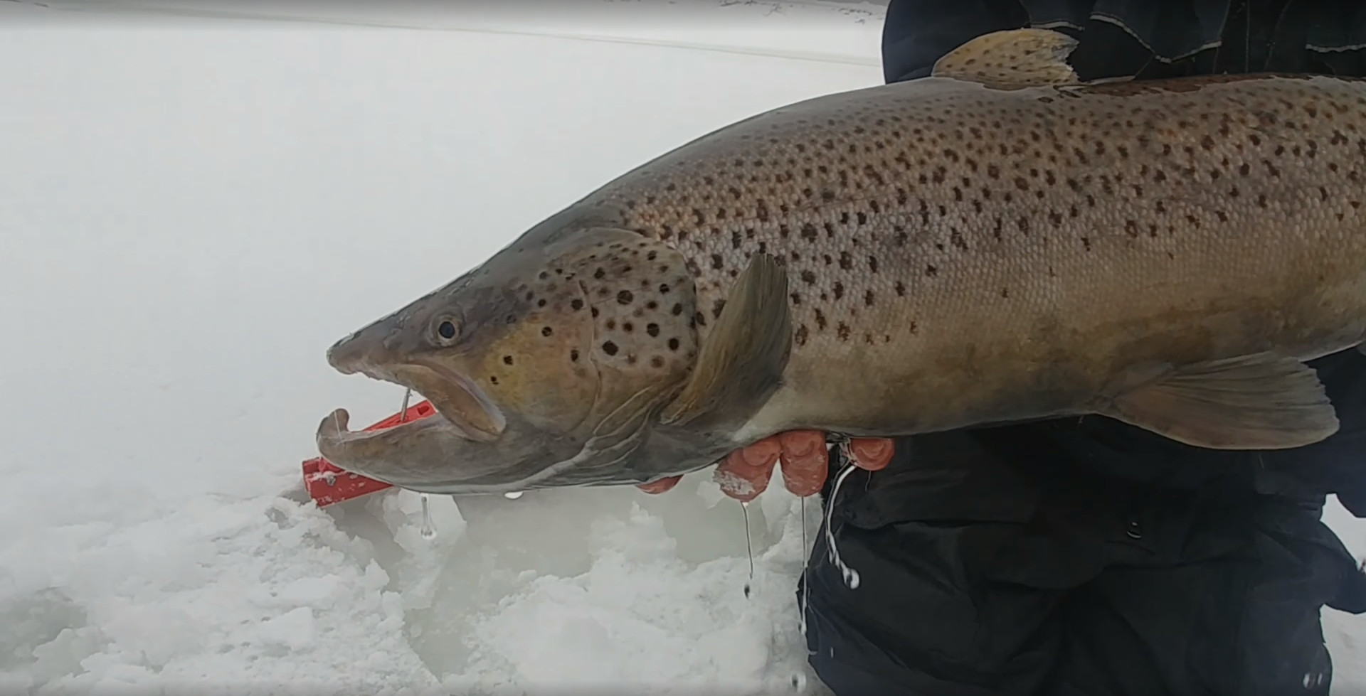 Зимняя рыбалка в Финляндии