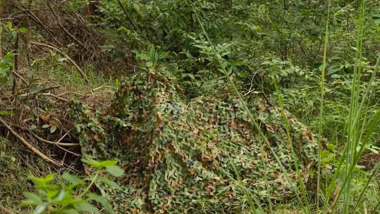 Маскировочные сети для охоты