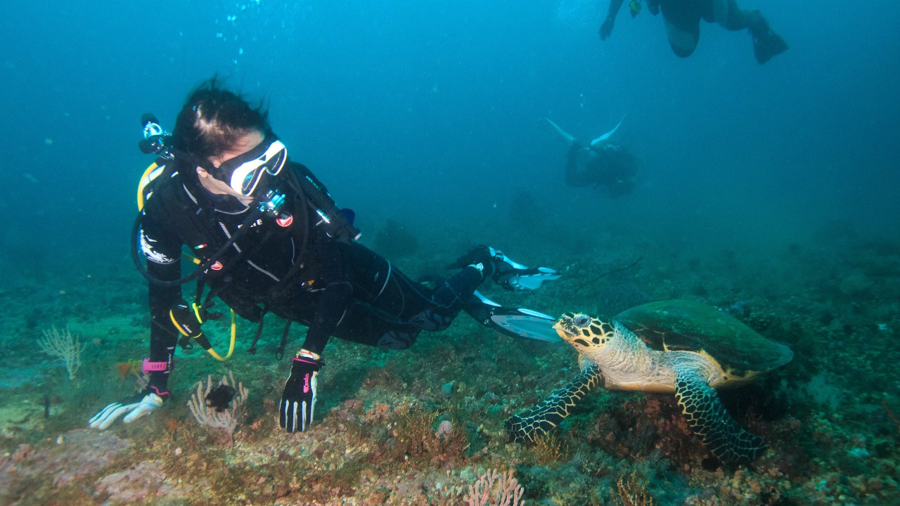 Дайвинг в Турции Дайвинг в Турции