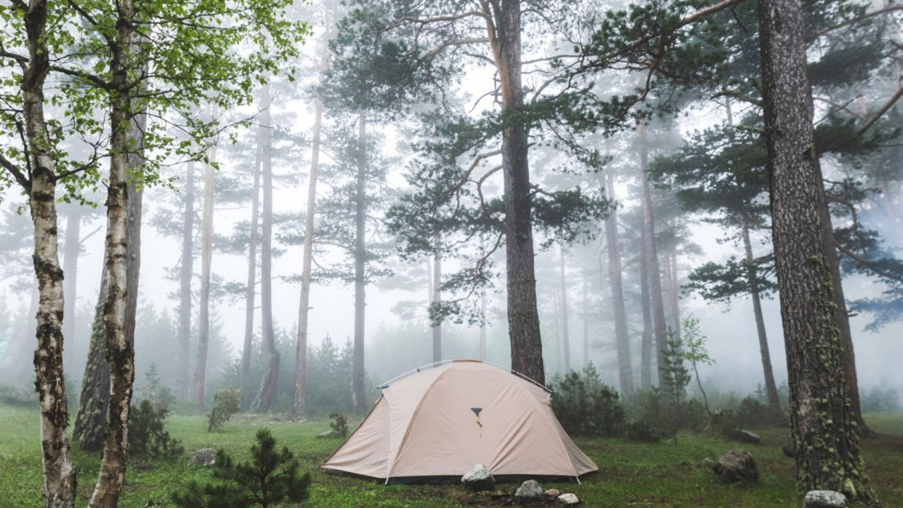 Что необходимо взять с собой на природу