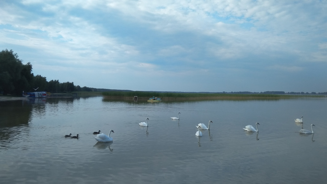 Популярные направления отдыха у воды в Украине