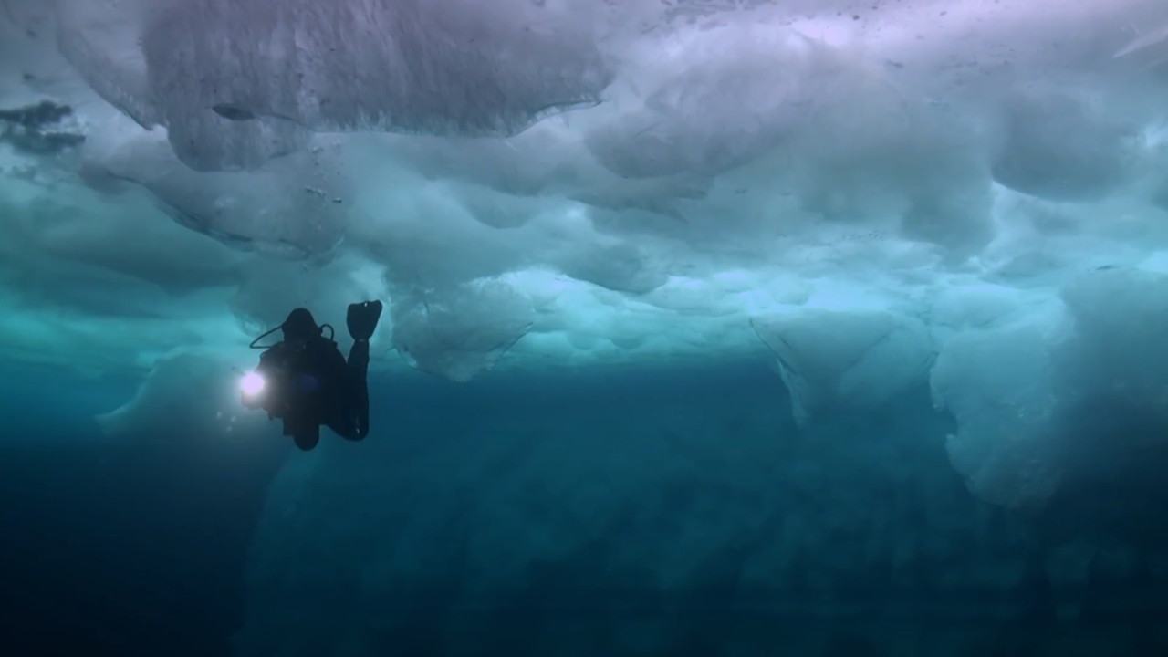 Особенности подледного дайвинга на севере