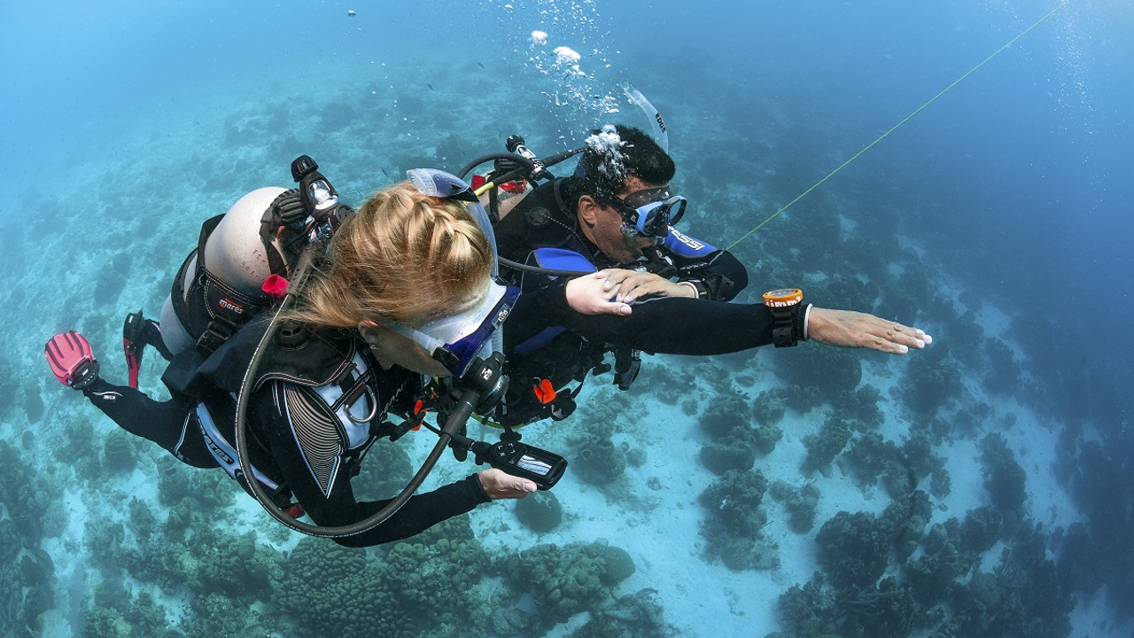 Парное погружение