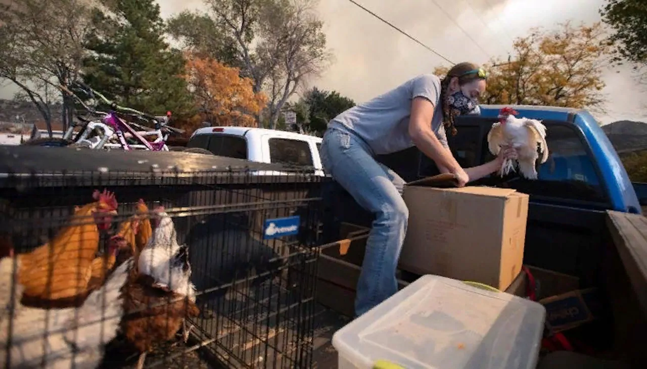 Пожар в Колорадо - самый ужасный в истории штата