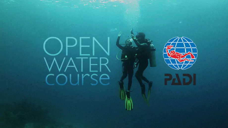 Курс PADI Open Water Diver (на русском)