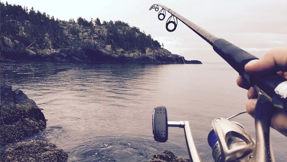 выбрать рыболовную катушку