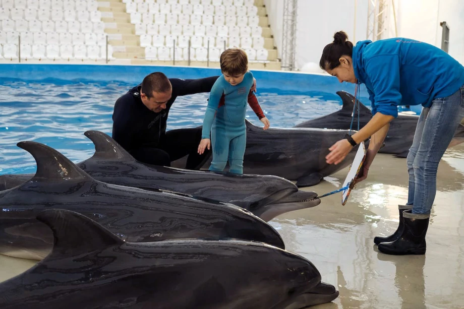 Дельфинарий