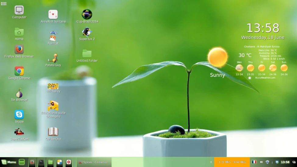 Linux Mint 20.2 Ума (Uma)