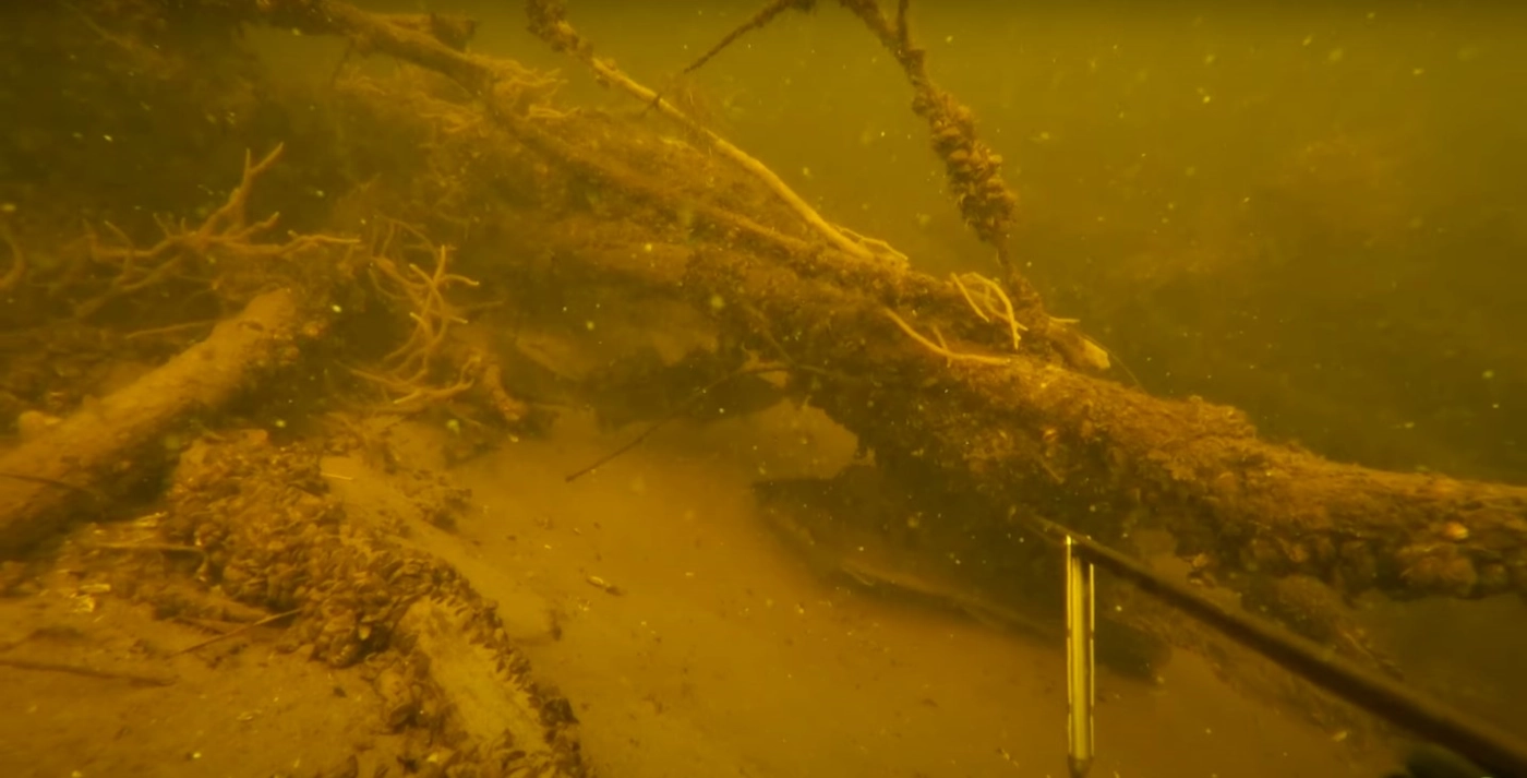 Сом, Щука, Судак, Лещ, Окунь, Жерех. Роман Болдов: Подводная Охота "САМЫЕ ЛУЧШИЕ МОМЕНТЫ ПРОШЛОГО СЕЗОНА".