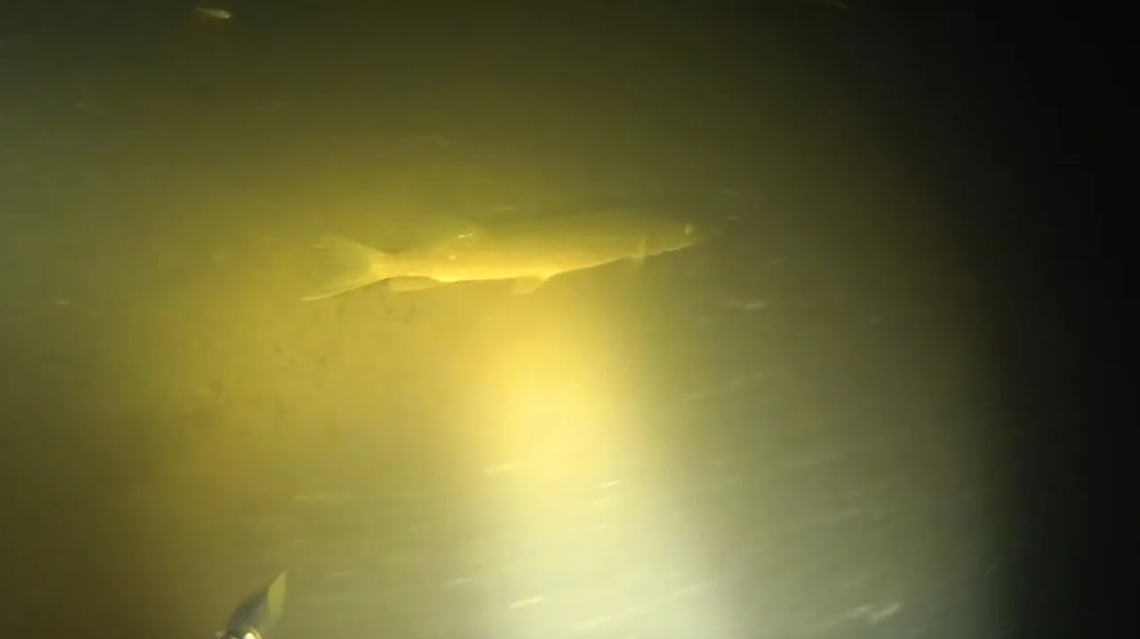 Подводная охота в грозу на озере